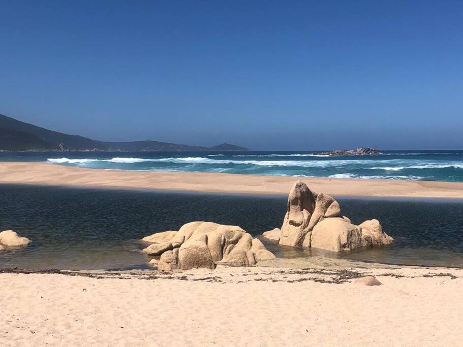 Appartement T2 Avec Piscine Aux Portes De La Plage De Cupabia Serra-di-Ferro Kültér fotó
