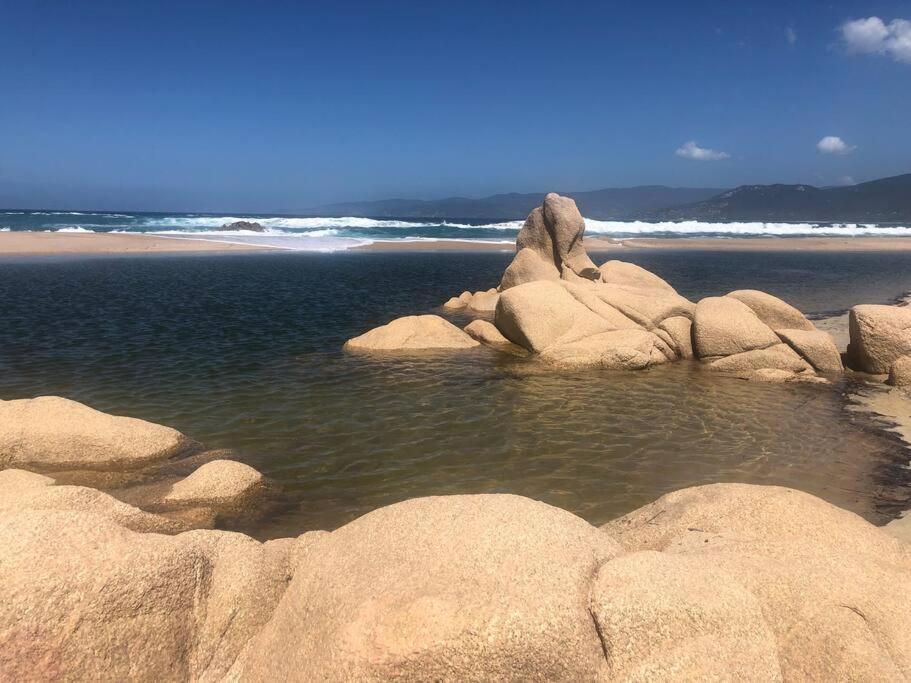 Appartement T2 Avec Piscine Aux Portes De La Plage De Cupabia Serra-di-Ferro Kültér fotó