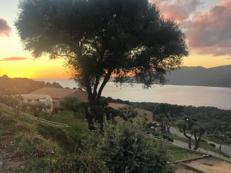 Appartement T2 Avec Piscine Aux Portes De La Plage De Cupabia Serra-di-Ferro Kültér fotó