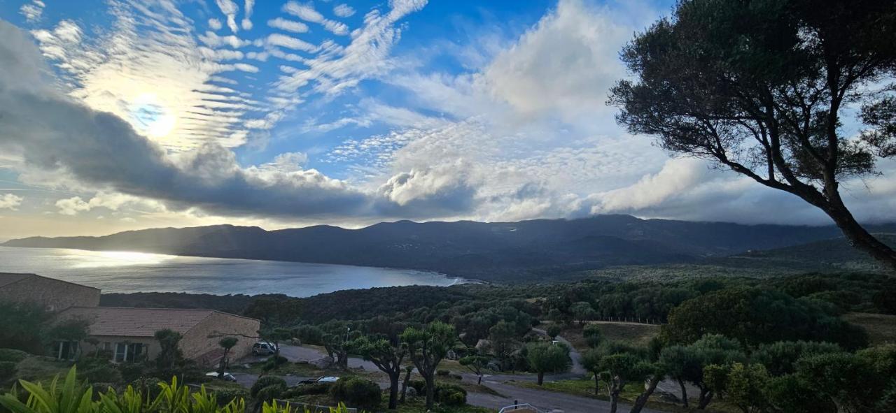 Appartement T2 Avec Piscine Aux Portes De La Plage De Cupabia Serra-di-Ferro Kültér fotó